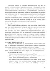 Tarptautinės valiutos kurso sistemos 17 puslapis