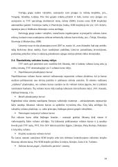 Tarptautinės valiutos kurso sistemos 20 puslapis