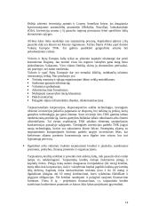 Tarptautinė prekyba, darbas ir investicijos 14 puslapis