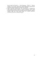 Tarptautinė prekyba, darbas ir investicijos 16 puslapis