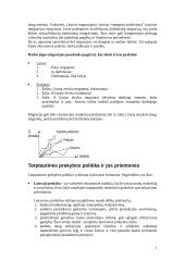 Tarptautinė prekyba, darbas ir investicijos 7 puslapis