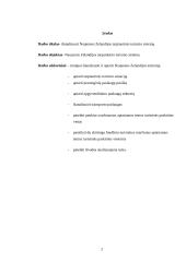 Tarptautinio turizmo sistemos analizė Naujojoje Zelandijoje - ilgo balto debesies žemėje 2 puslapis