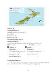 Tarptautinio turizmo sistemos analizė Naujojoje Zelandijoje - ilgo balto debesies žemėje 14 puslapis