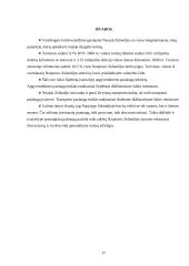 Tarptautinio turizmo sistemos analizė Naujojoje Zelandijoje - ilgo balto debesies žemėje 17 puslapis