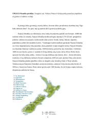 Tarptautinio turizmo sistemos analizė Naujojoje Zelandijoje - ilgo balto debesies žemėje 4 puslapis