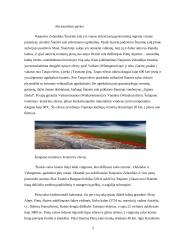 Tarptautinio turizmo sistemos analizė Naujojoje Zelandijoje - ilgo balto debesies žemėje 5 puslapis