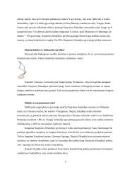 Tarptautinio turizmo sistemos analizė Naujojoje Zelandijoje - ilgo balto debesies žemėje 8 puslapis