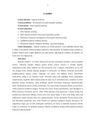 Tarptautinio verslo ekonominės aplinkos reikšmė tarptautinėms ir nacionalinėms kompanijoms 3 puslapis