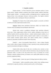 Tarptautinio verslo ekonominės aplinkos reikšmė tarptautinėms ir nacionalinėms kompanijoms 4 puslapis