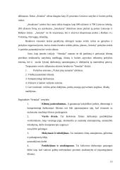 Tarptautinio verslo žmogiškieji ištekliai 11 puslapis