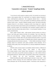 Tarptautinio verslo žmogiškieji ištekliai 10 puslapis
