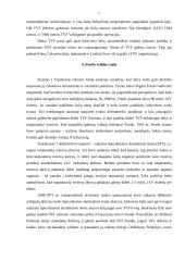 Tarptautinis valiutos fondas (TVF) ir Lietuva 6 puslapis