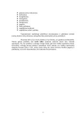 Tarptautinių rinkų pasirinkimas 11 puslapis