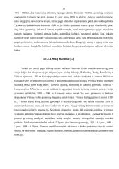 Tautinės mažumos Europos šalyse ir Europos Sąjungos politika jų atžvilgiu 13 puslapis