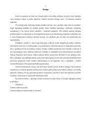 Tautinės mažumos Europos šalyse ir Europos Sąjungos politika jų atžvilgiu 3 puslapis