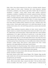 Tautos ūkio idėjos tarpukario metais 3 puslapis