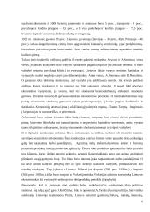 Tautos ūkio idėjos tarpukario metais 6 puslapis