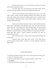 Teigiamas įvaizdžio formavimas: grožio salonas "D'ORO" 13 puslapis