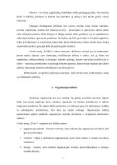 Teigiamas įvaizdžio formavimas: grožio salonas "D'ORO" 7 puslapis