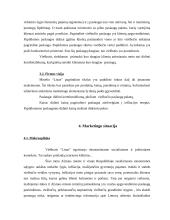Teikiamos paslaugos, marketingo situacija, strategijos formavimas: motelis "Linas" 11 puslapis