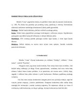 Teikiamos paslaugos, marketingo situacija, strategijos formavimas: motelis "Linas" 14 puslapis