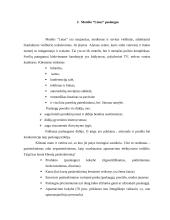 Teikiamos paslaugos, marketingo situacija, strategijos formavimas: motelis "Linas" 9 puslapis