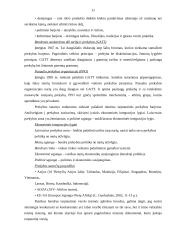 Teisinės aplinkos įtaka tarptautiniam verslui 11 puslapis