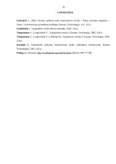 Teisinės aplinkos įtaka tarptautiniam verslui 16 puslapis