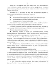 Teisinės aplinkos įtaka tarptautiniam verslui 6 puslapis