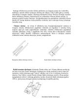 Teleskopas yra pagrindinis astronomų instrumentas 3 puslapis