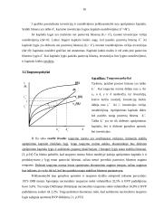 Teoriniai ekonomikos augimo modeliai 16 puslapis