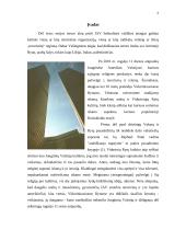 Terorizmas 2 puslapis