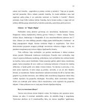 Terorizmas 12 puslapis