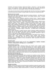 Dabartinė terorizmo padėtis 3 puslapis