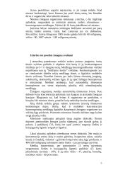 Teršalai gamtoje. Užteršto oro poveikis žmogaus sveikatai 5 puslapis