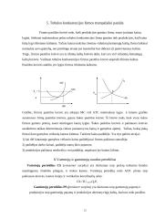 Tobulos konkurencijos rinka. Jos trūkumai ir privalumai 12 puslapis