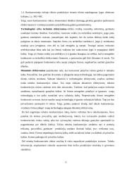 Tobulos konkurencijos rinka. Jos trūkumai ir privalumai 15 puslapis