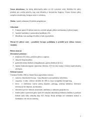 Tolimesnės Europos Sąjungos (ES) plėtros perspektyvos 2 puslapis