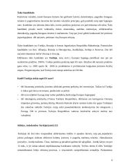 Tolimesnės Europos Sąjungos (ES) plėtros perspektyvos 4 puslapis