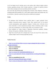 Tolimesnės Europos Sąjungos (ES) plėtros perspektyvos 9 puslapis