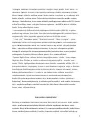 Tolimosios užterštojo oro pernašos, rūgštieji lietūs ir jų daroma žala 4 puslapis