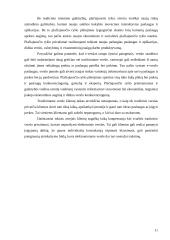 Tradicinio ir elektroninio verslo skirtumai 11 puslapis