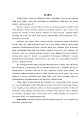 Tradicinio ir elektroninio verslo skirtumai 3 puslapis