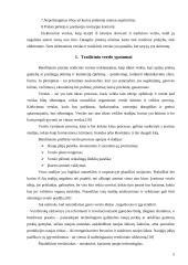 Tradicinio ir elektroninio verslo skirtumai 5 puslapis