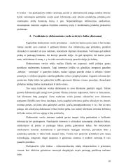 Tradicinio ir elektroninio verslo skirtumai 10 puslapis