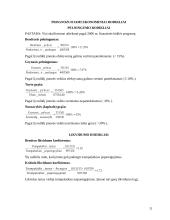 Transporto logistika: UAB "Transvelas" 11 puslapis