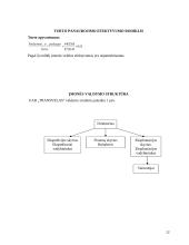 Transporto logistika: UAB "Transvelas" 12 puslapis