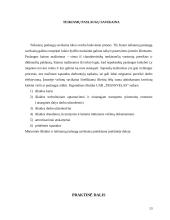 Transporto logistika: UAB "Transvelas" 13 puslapis