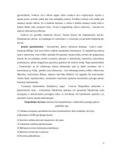 Transporto logistika: UAB "Transvelas" 4 puslapis