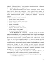 Transporto logistika: UAB "Transvelas" 6 puslapis